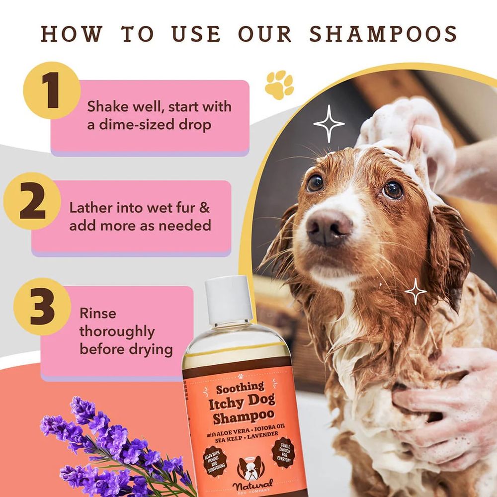 Natural Dog Company, Soothing Itchy Dog Shampoo, 12 oz 