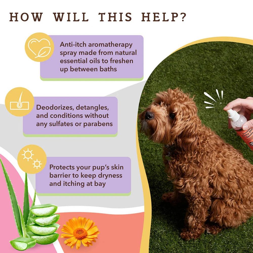 Natural Dog Company, Soothing Itchy Dog Spritz, 8 oz 