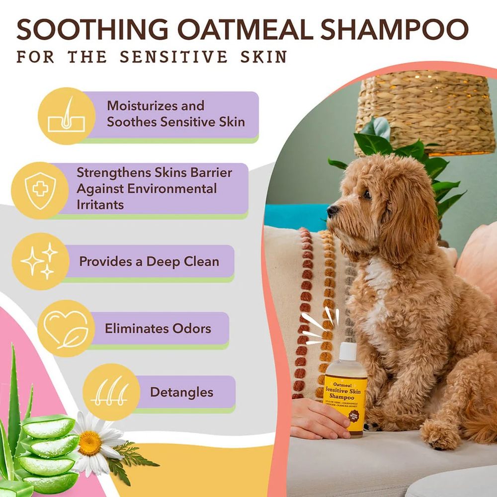 Natural Dog Company, Oatmeal Sensitive Skin Dog Shampoo, 12 oz