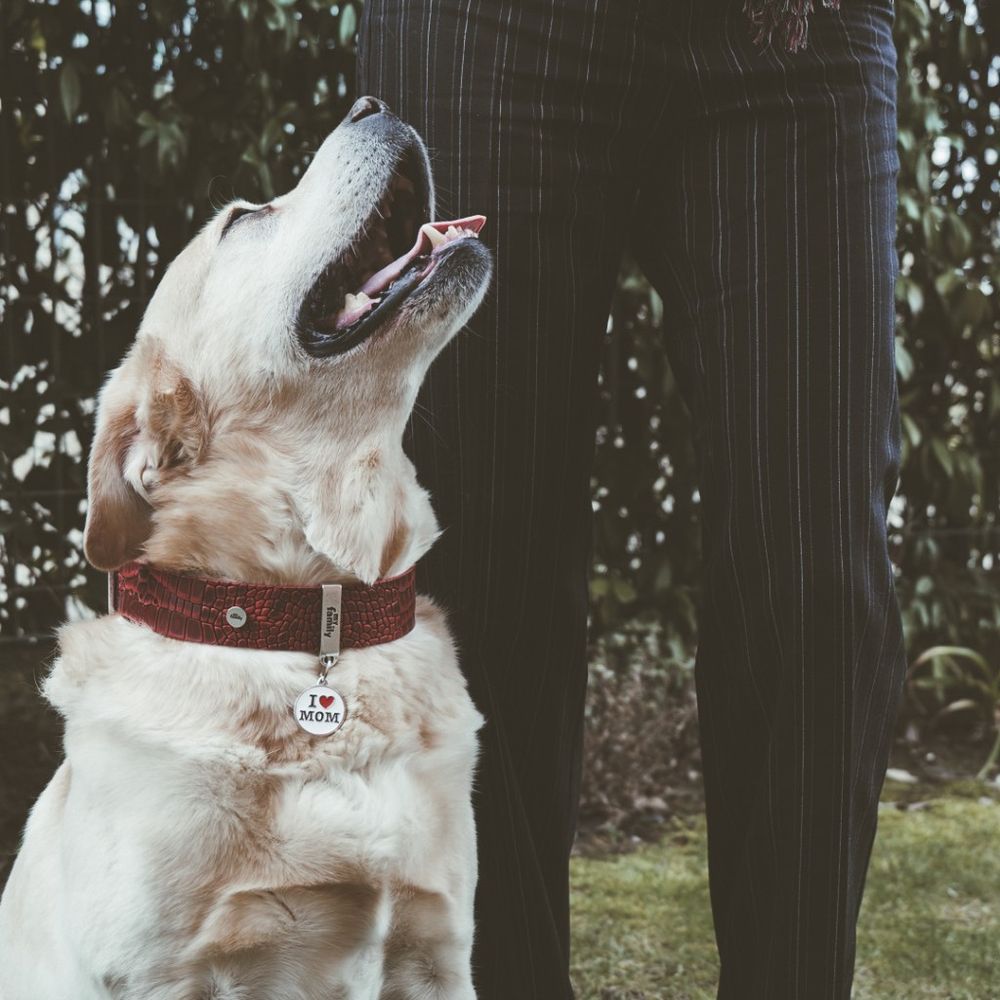 myfamily, Big "I Love Mom" ID Tag