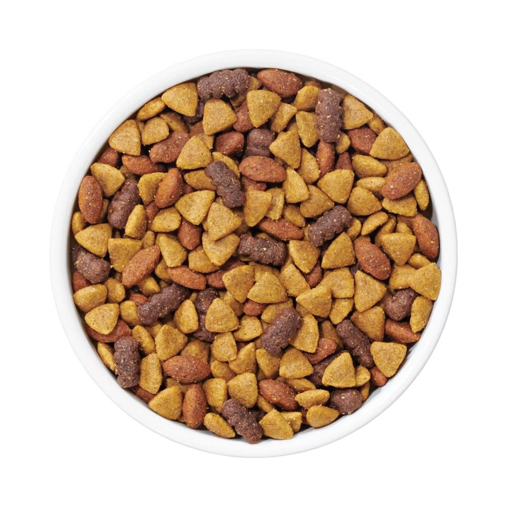Purina, Dog Chow Complete Adult Beef Dog Food, 44 lb