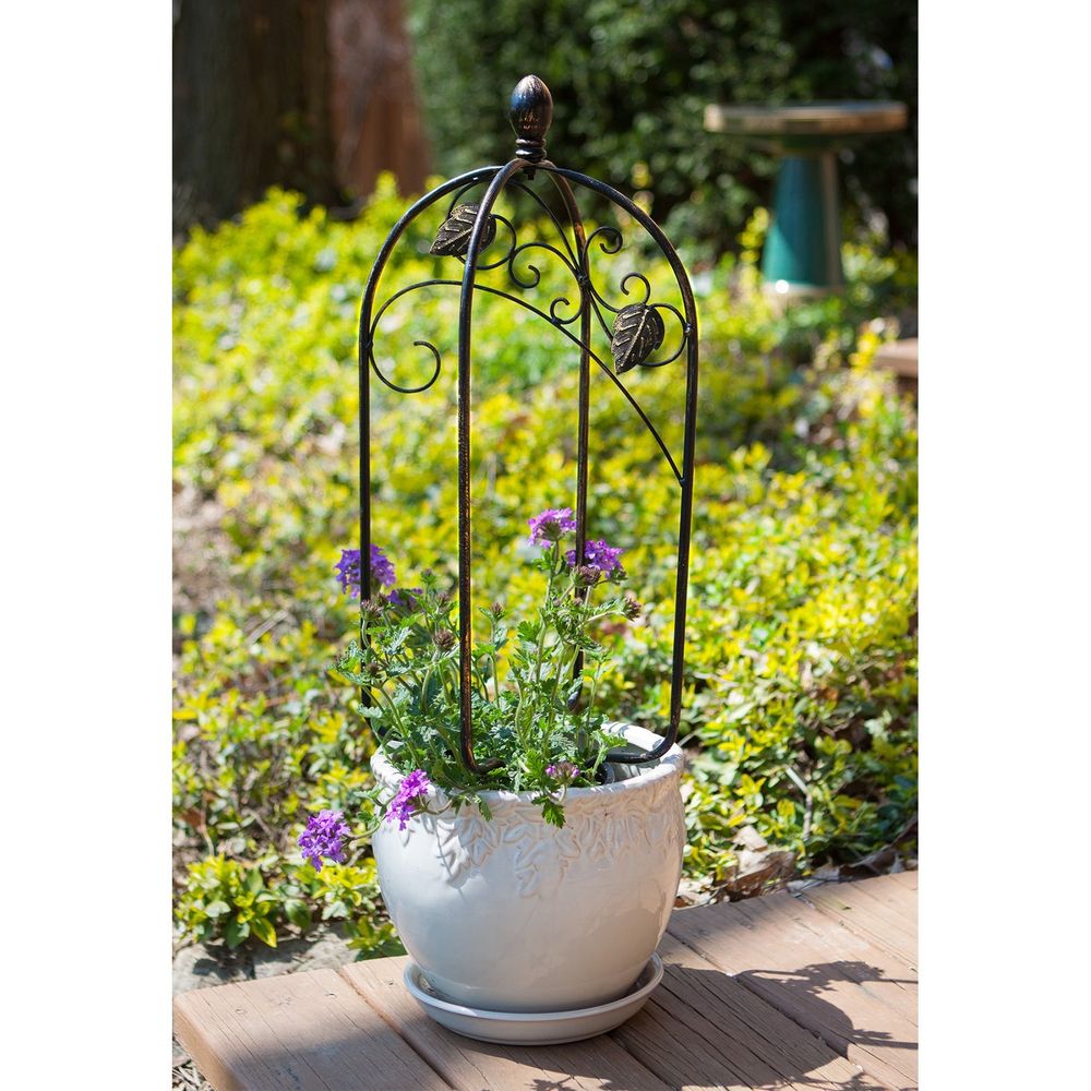 Panacea, Black 24" Scroll & Ivy Mini Trellis Pot Topper