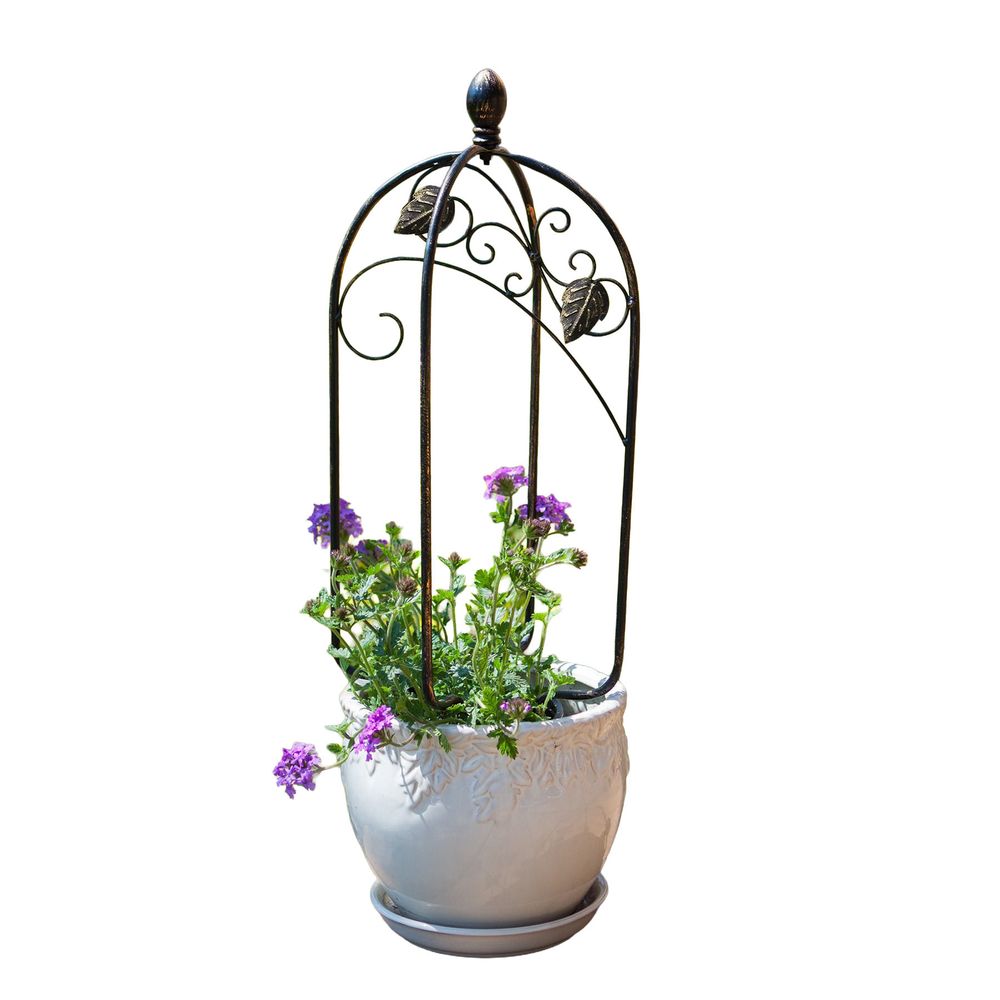 Panacea, Black 24" Scroll & Ivy Mini Trellis Pot Topper