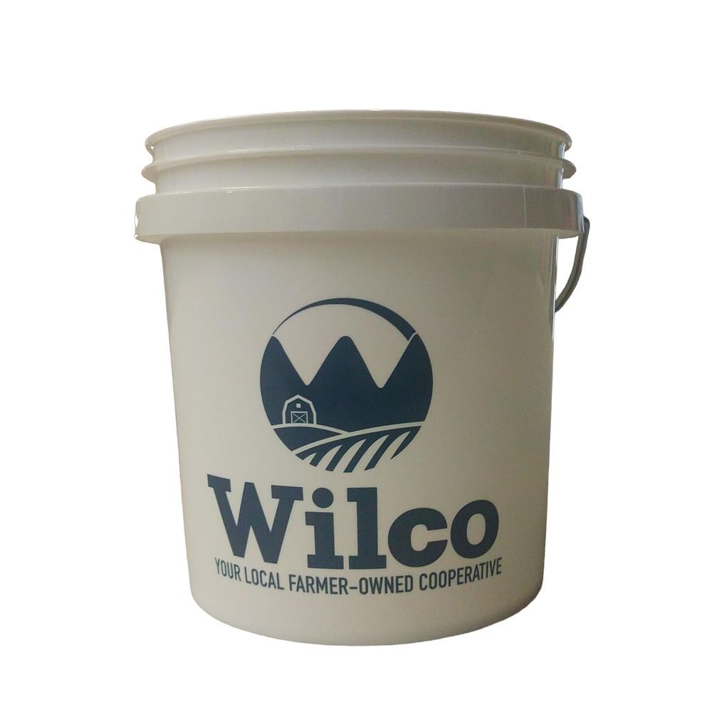 Wilco, Mini Bucket