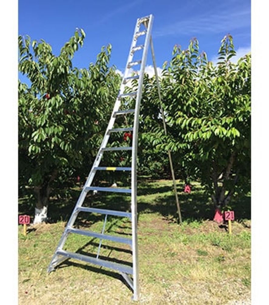 Ladder King, 16' Aluminum Orchard Ladder