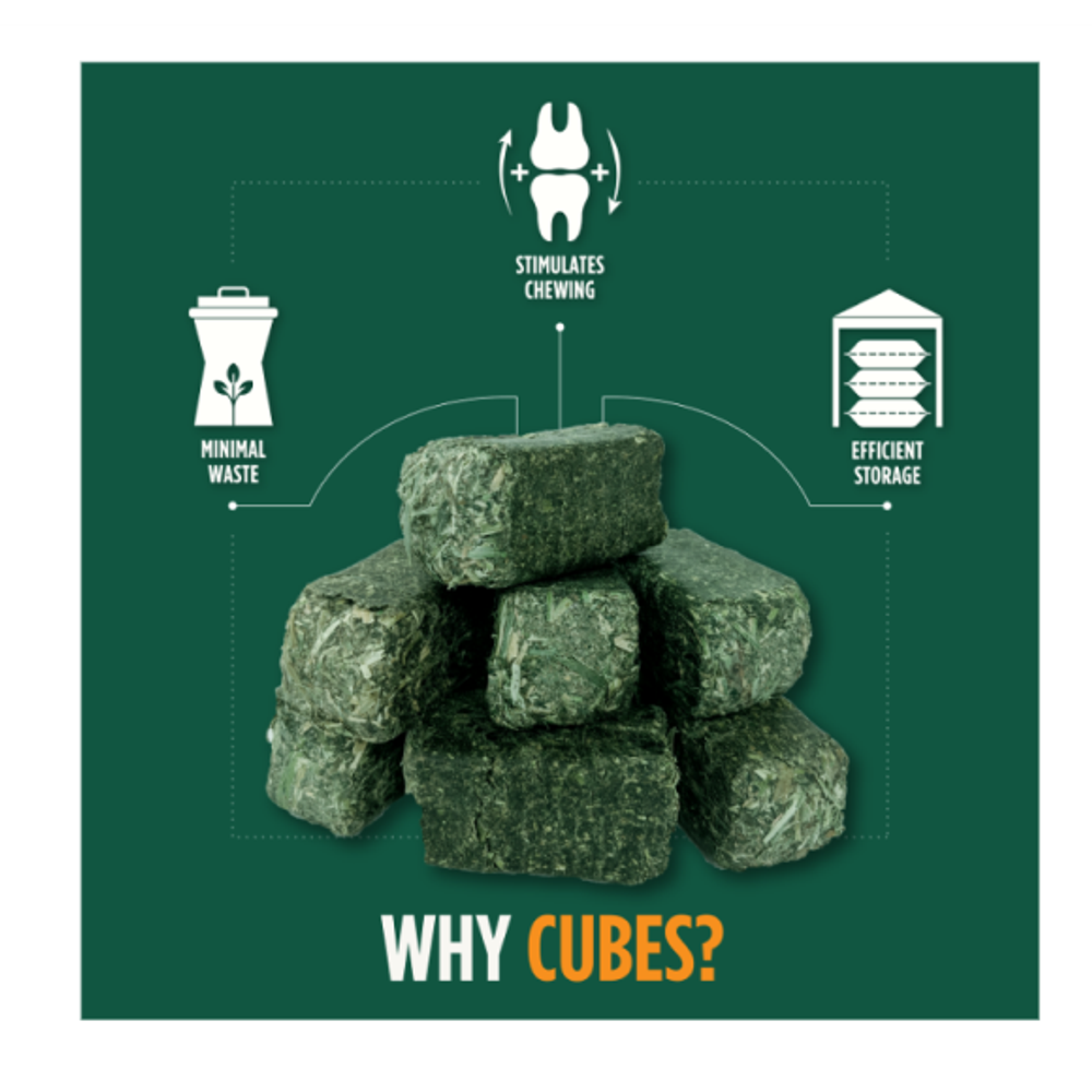 Standlee, Alfalfa Cubes, 40 lb