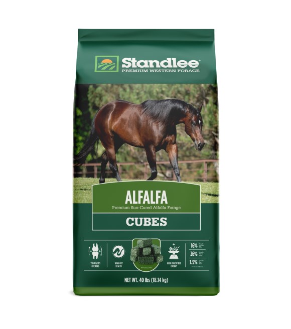 alfalfa Ladak Alfalfa - Drought Tolerant & Winter Hardy | AVSeeds