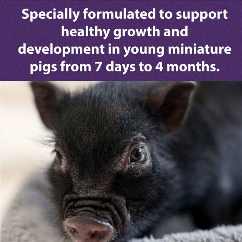 Mazuri, Mini Pig Youth, 25 lb