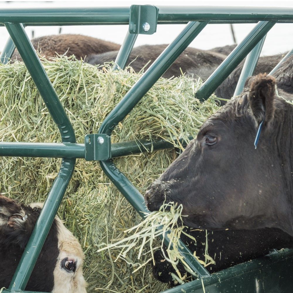 Behlen, Green V-Smart Hay Feeder