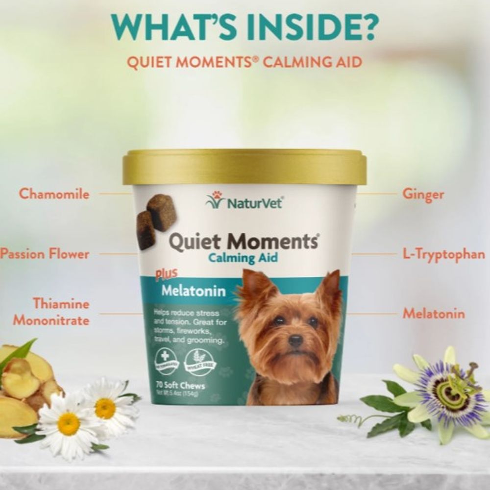 NaturVet, Quiet Moments Calming Aid Soft Chews, 70 ct
