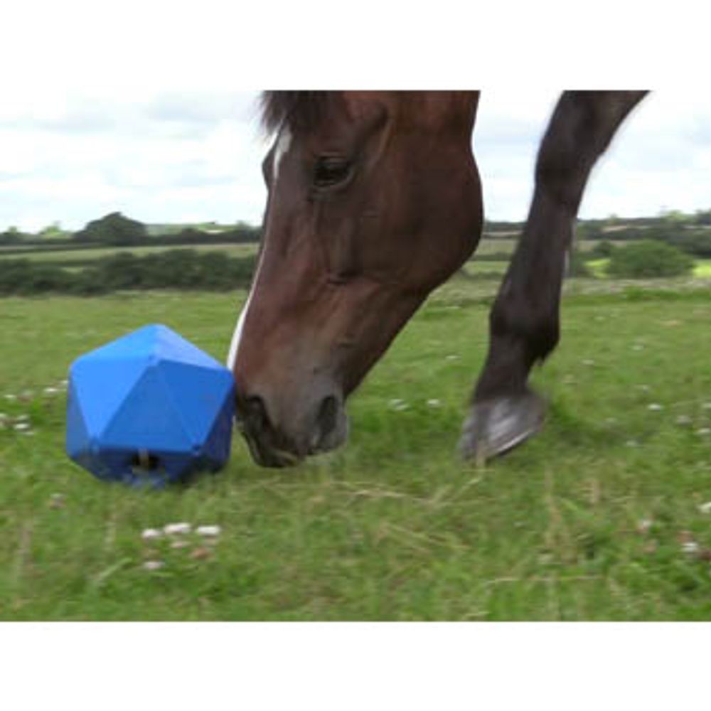 Equine Toy Ball Feeder