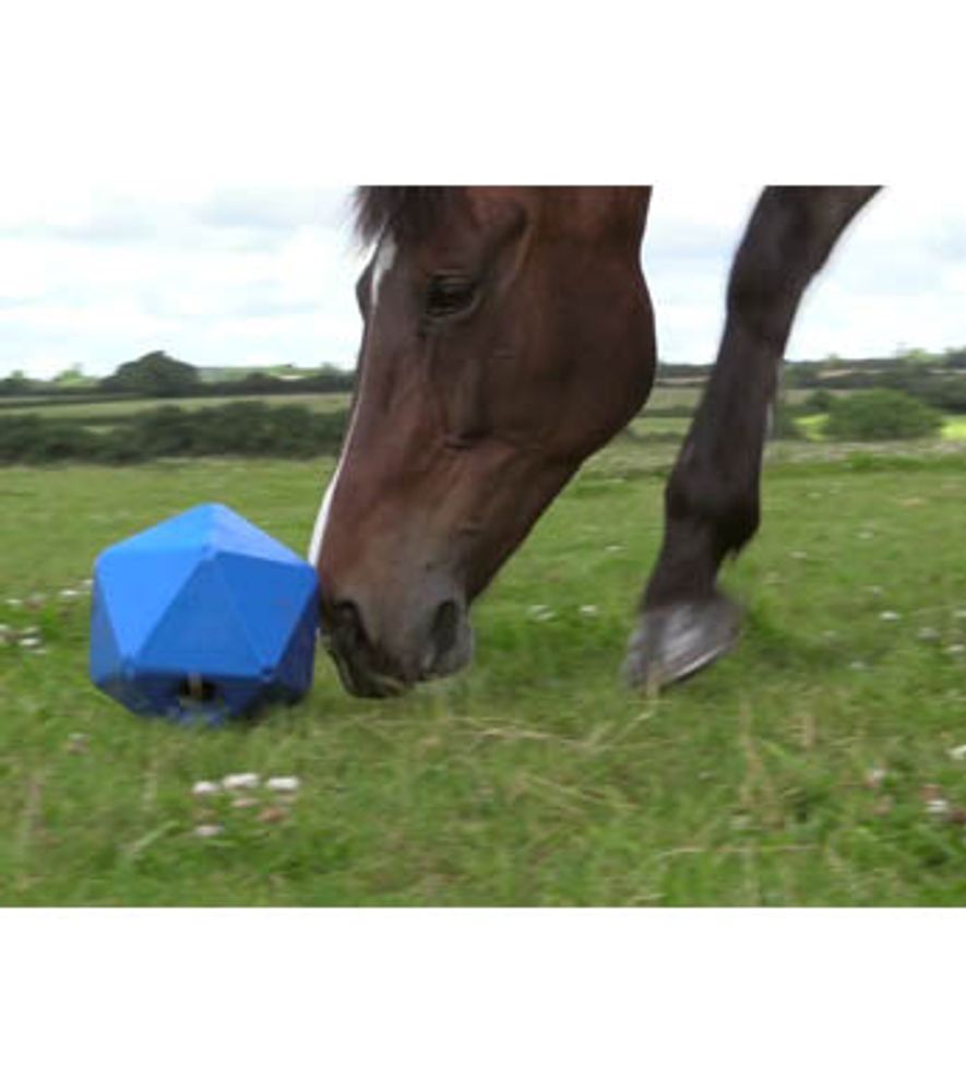 Equine Toy Ball Feeder
