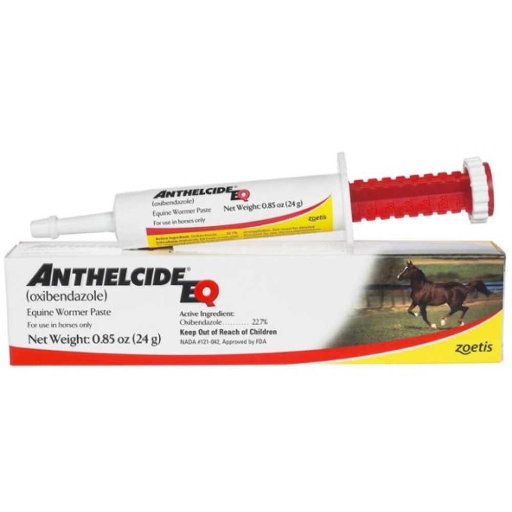 Zoetis, Anthelecide Equine Paste Wormer, 24 gm