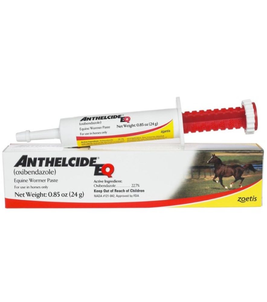 Zoetis, Anthelecide Equine Paste Wormer, 24 gm