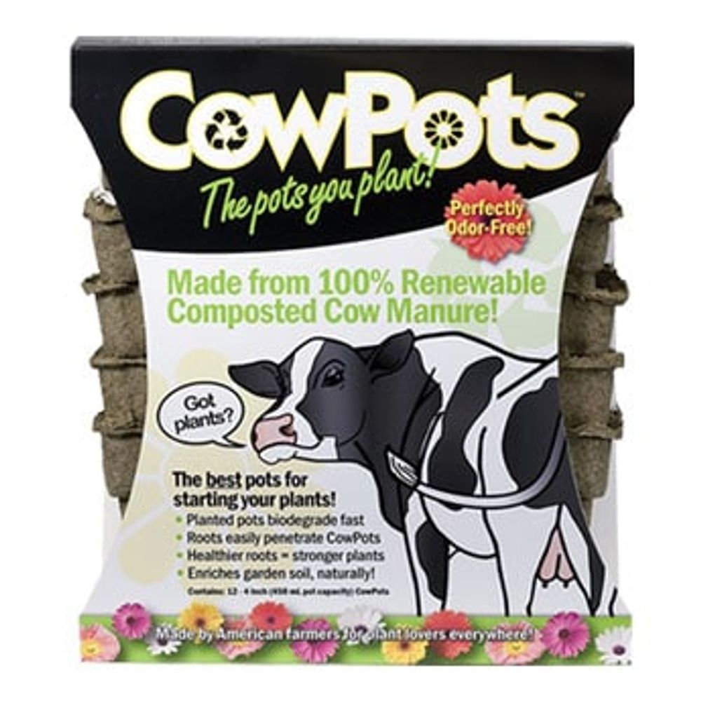 CowPots, 3 in., 12 pk.