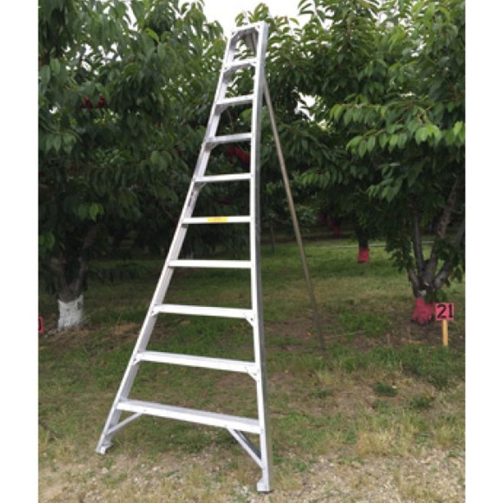 Ladder King, 10' Aluminum Orchard Ladder