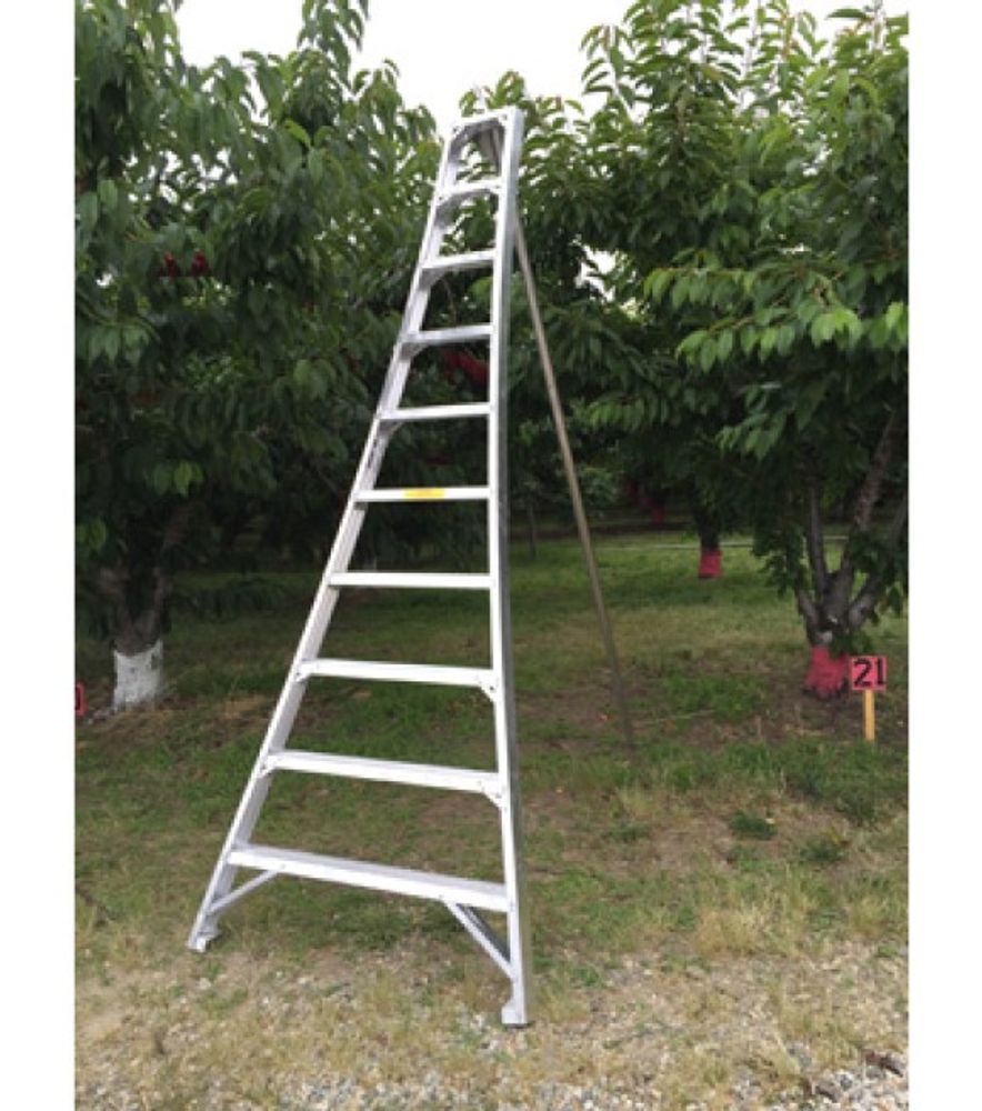 Ladder King, 10' Aluminum Orchard Ladder