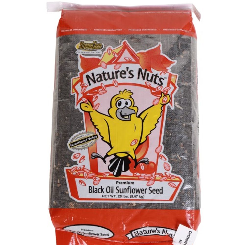 Nature's Nuts, Premium Black Oil Sunflower Seed