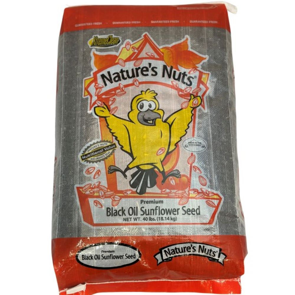 Nature's Nuts, Premium Black Oil Sunflower Seed
