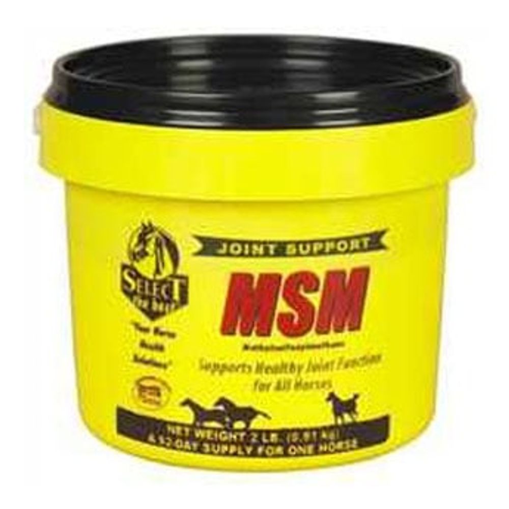 Select MSM Horse Supplement, 2 lb.