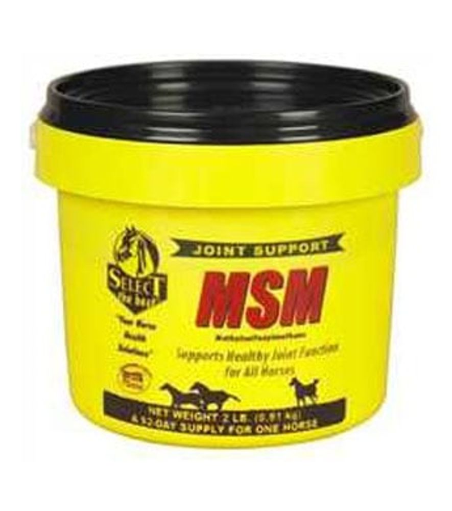 Select MSM Horse Supplement, 2 lb.