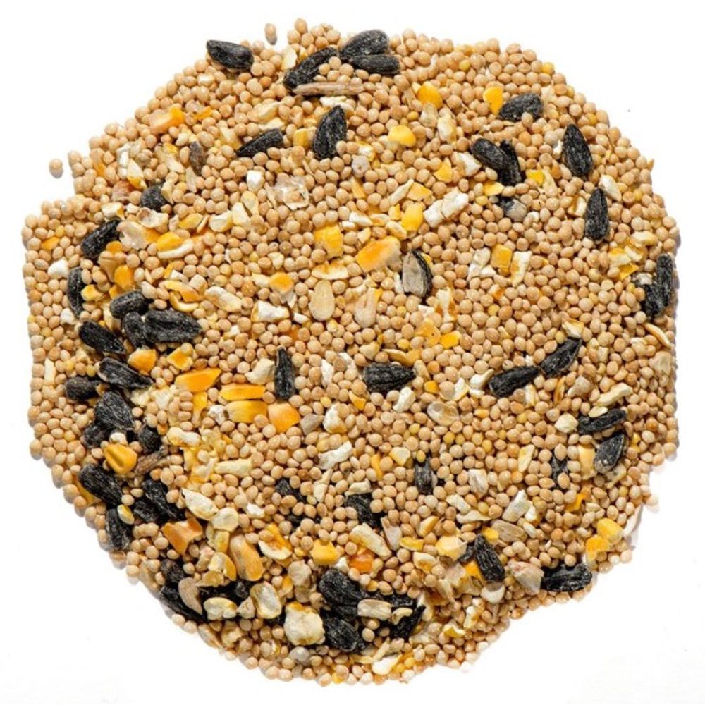 Nature's Nuts, Premium Wild Bird (No Milo) Bird Seed
