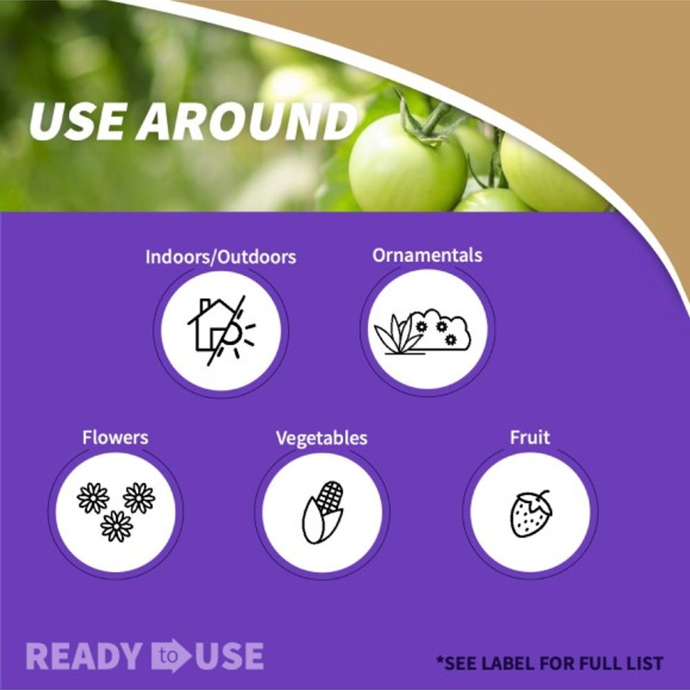 Bonide, Stink Bug Trap, 3 pk