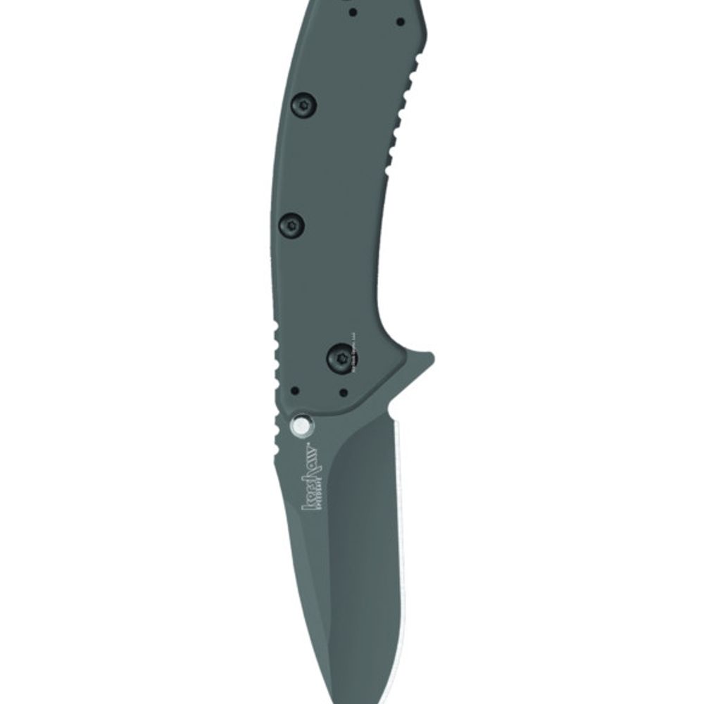 Kershaw Cryo 1555TI Knife