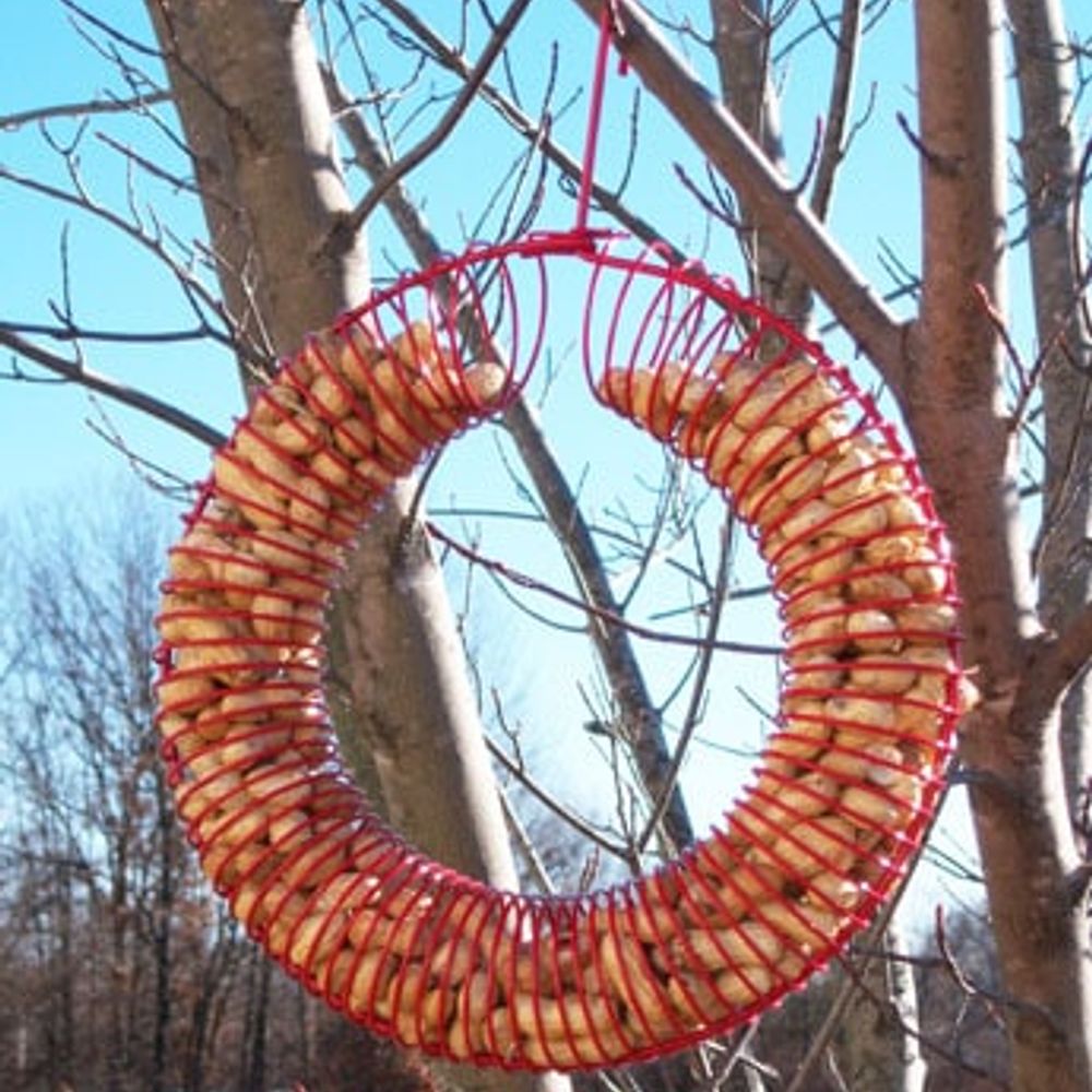 Songbird Essentials Peanut Wreath Feeder