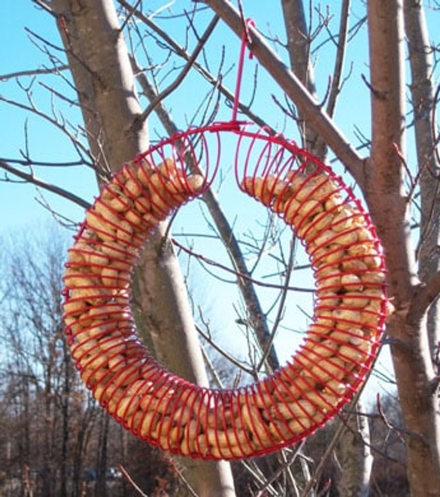Songbird Essentials Peanut Wreath Feeder