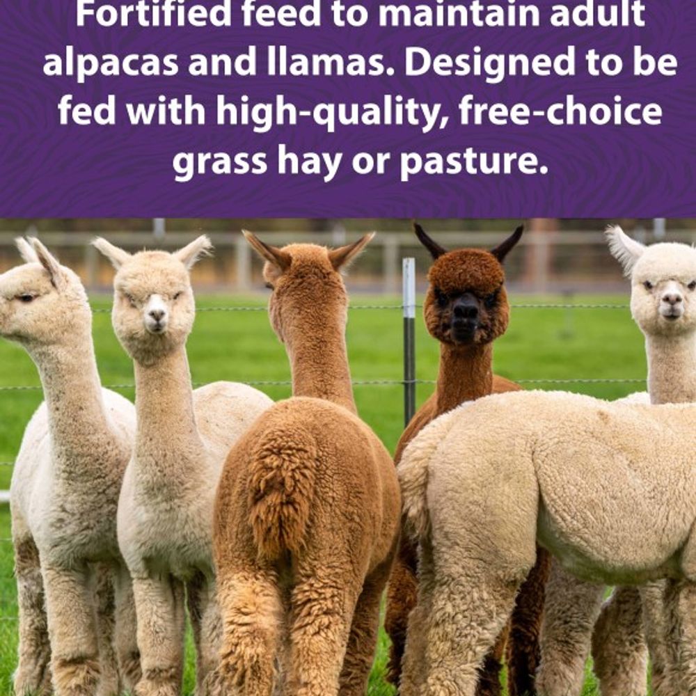 Mazuri, Alpaca & Llama Maintenance Diet, 50 lb