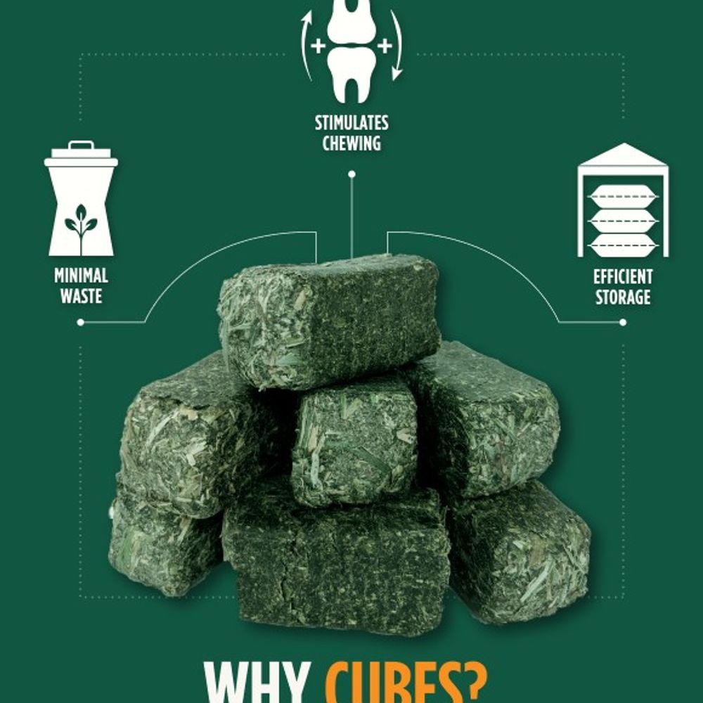 Standlee, Premium Alfalfa Timothy Cubes, 40 lb