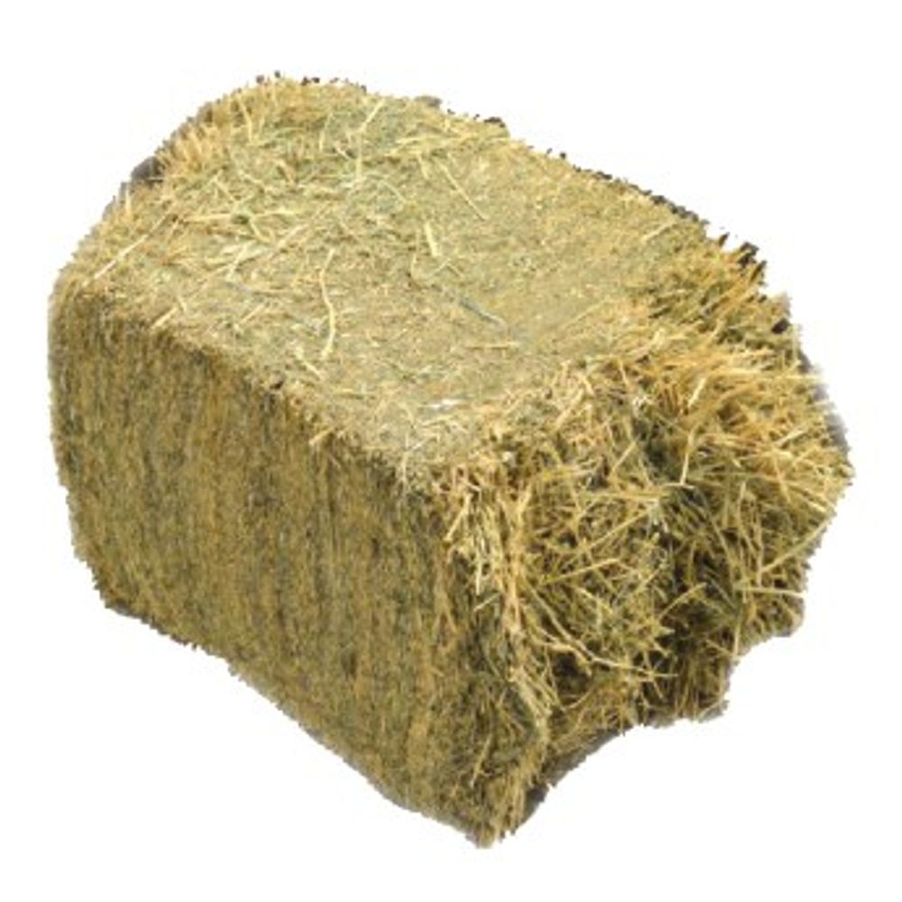 Compressed Alfalfa Hay Bale