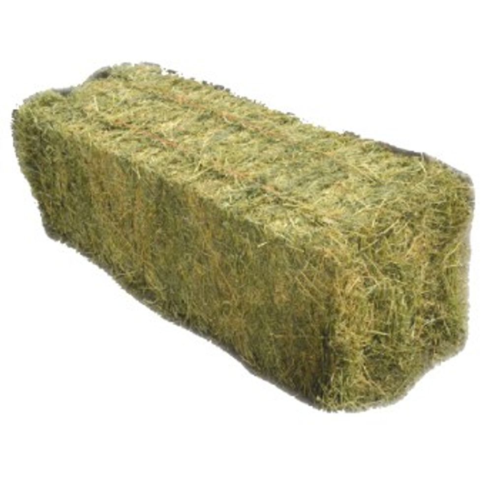 Eastern Oregon Alfalfa Hay Bale