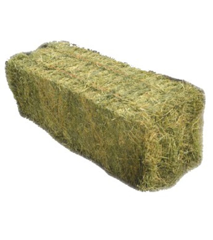 Eastern Oregon Alfalfa Hay Bale