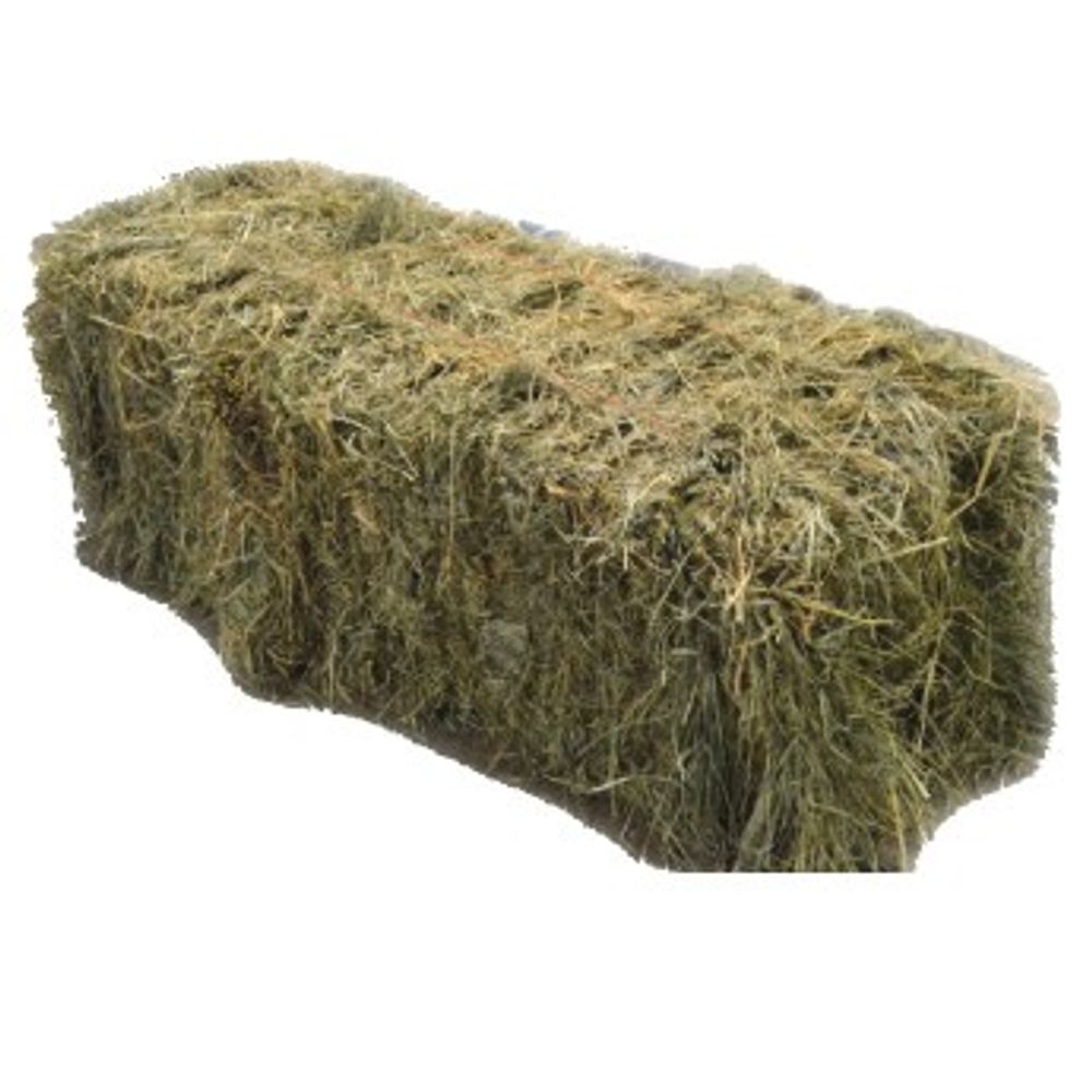 Orchard Grass Hay Bale Two-String