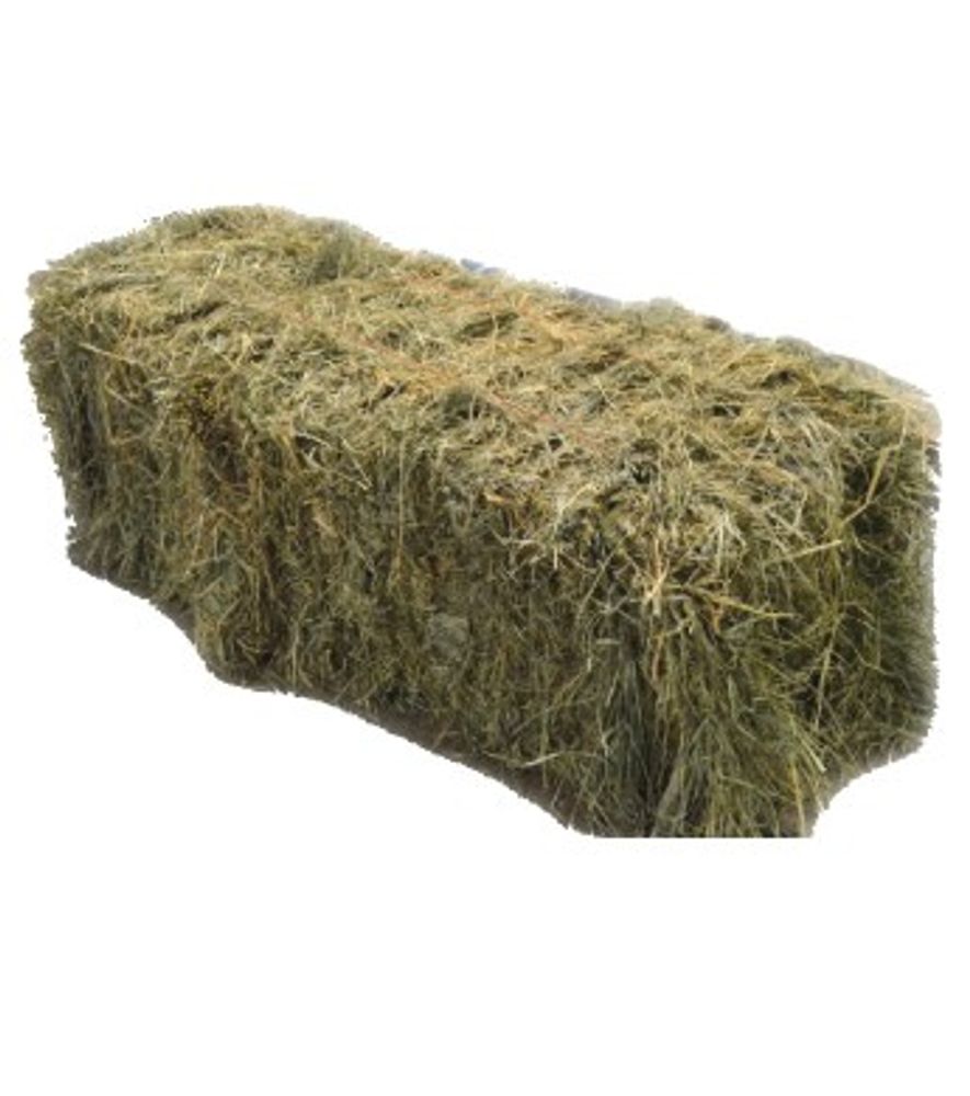Orchard Grass Hay Bale Two-String