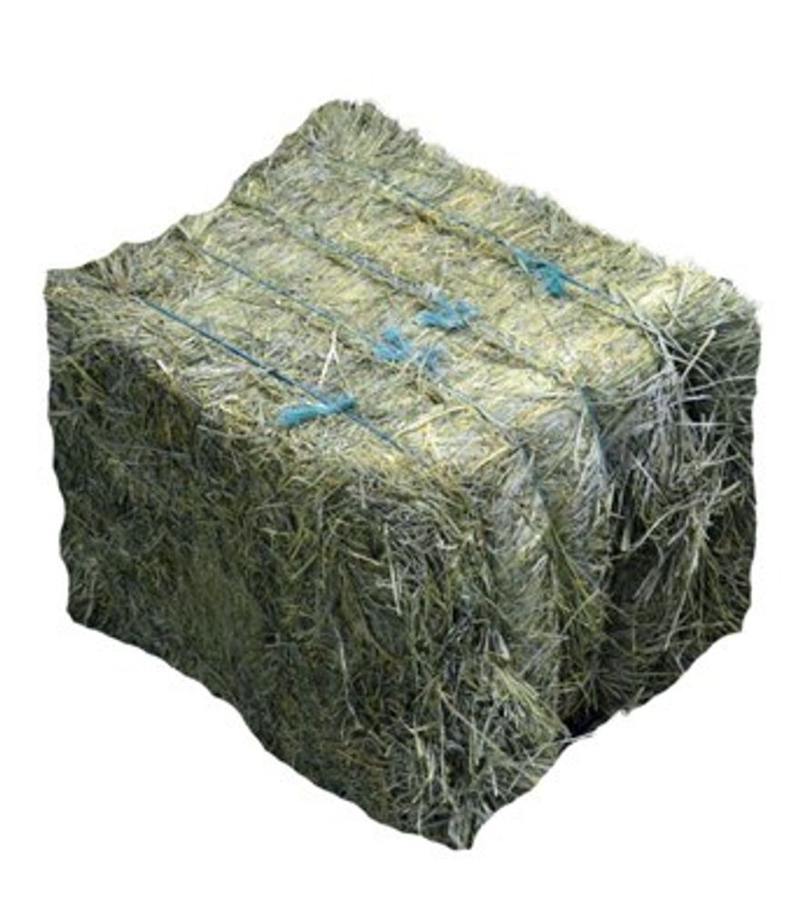Compressed Orchard Grass Hay Bale