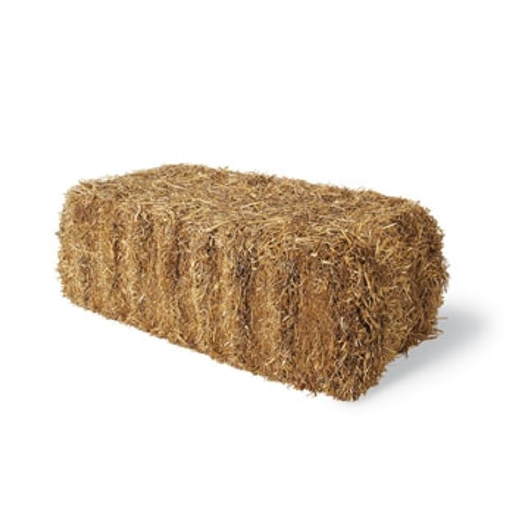 Wheat Straw Two-String Bale