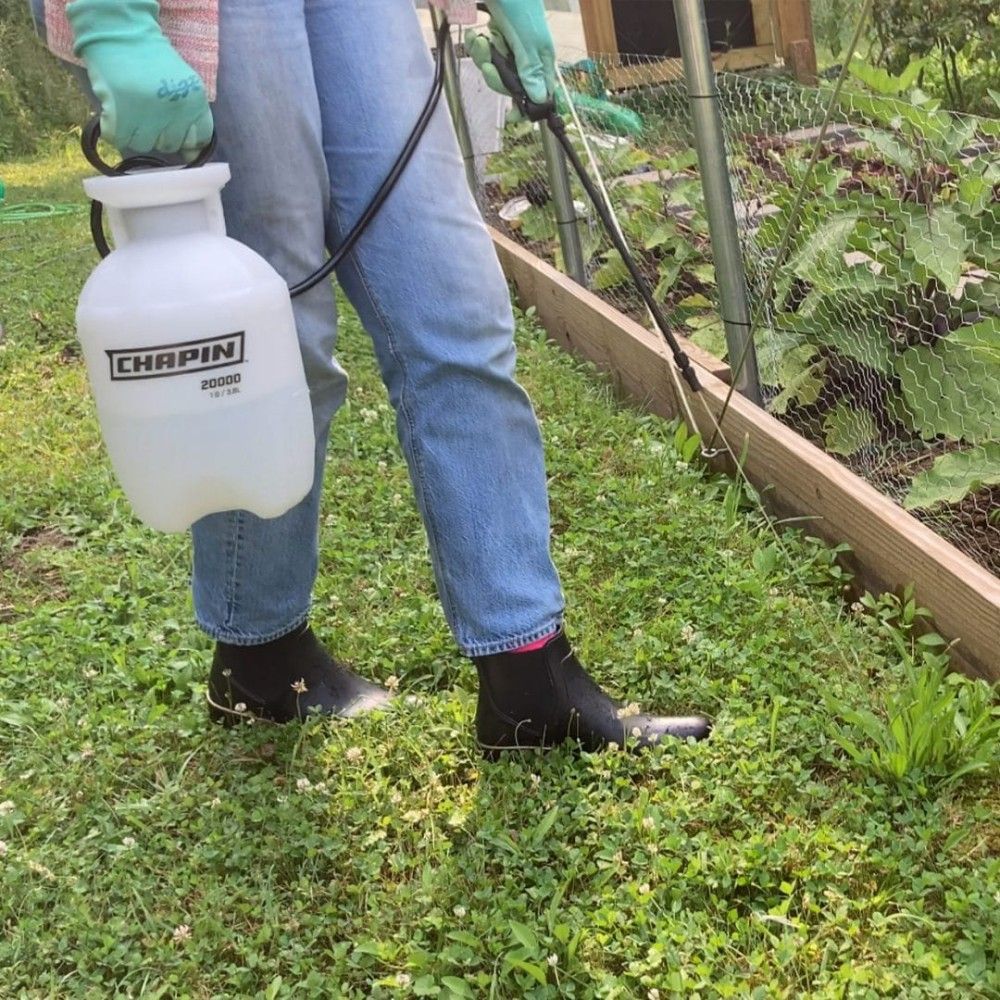 Chapin, 20000 SureSpray Hand Pump Sprayer, 1 gal