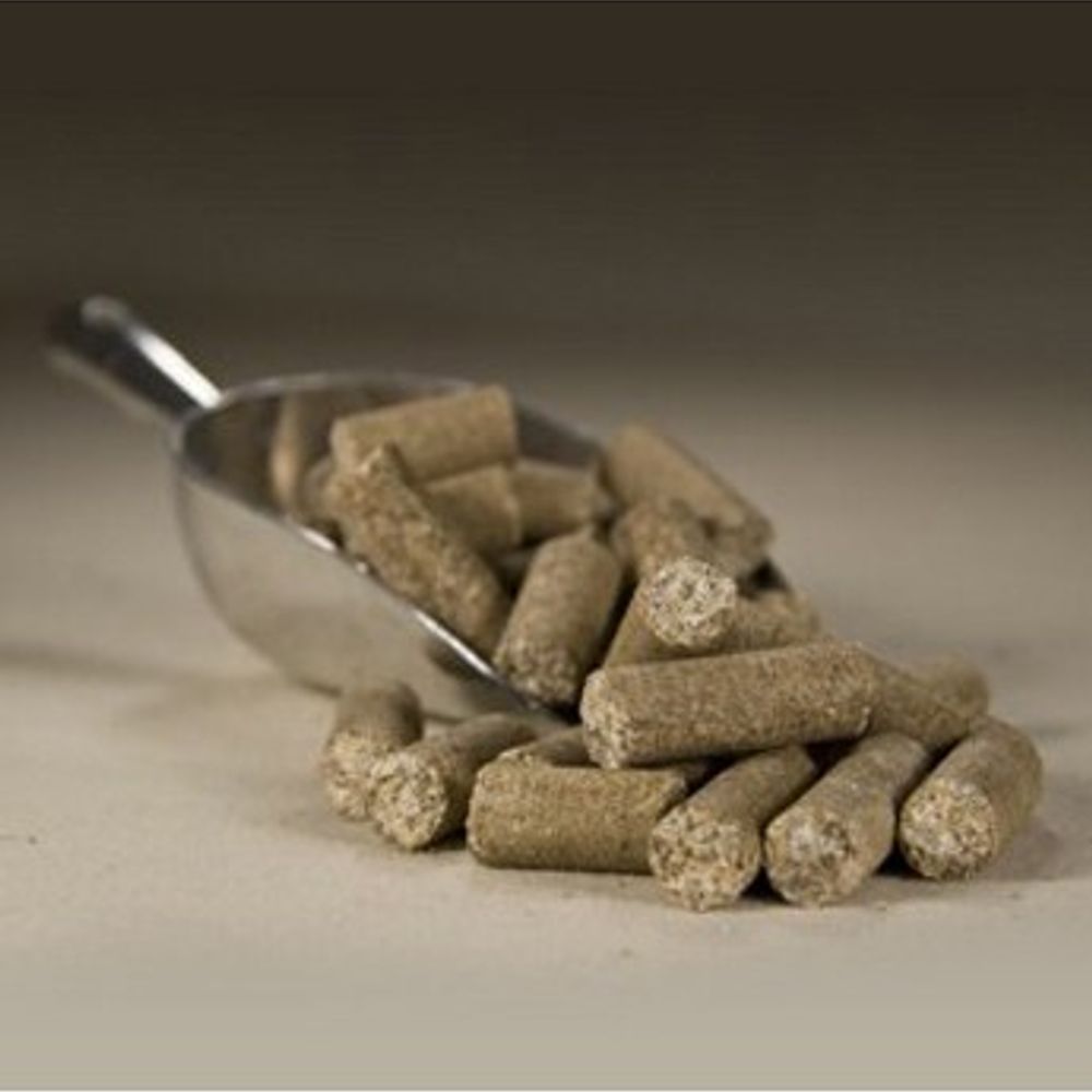 Apple-Asses Pure All Natural Horse Treats, 3 lb.