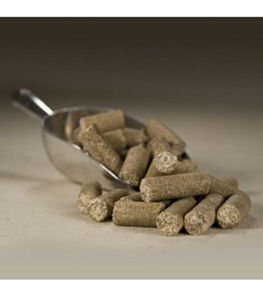Apple-Asses Pure All Natural Horse Treats, 3 lb.