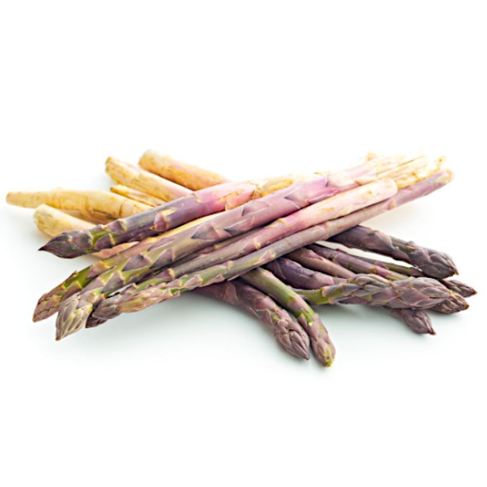 Asparagus Root Bundle