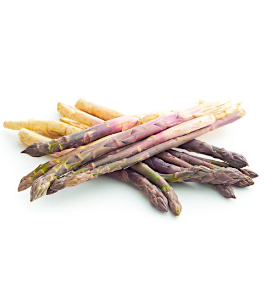 Asparagus Root Bundle