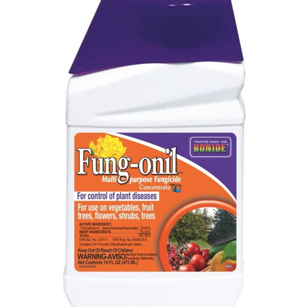 Bonide, Fung-onil Fungicide Concentrate, 16 oz