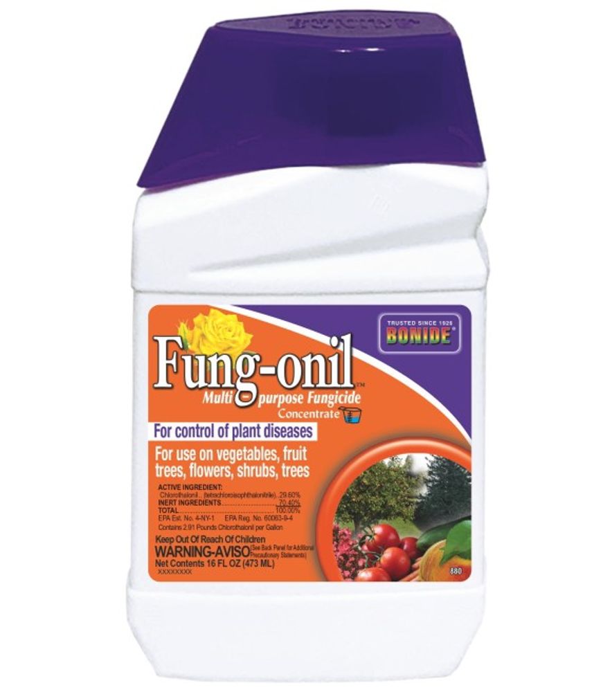 Bonide, Fung-onil Fungicide Concentrate, 16 oz