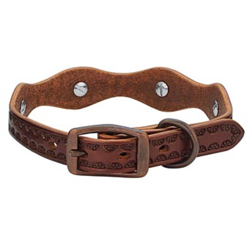 Weaver Leather, Sundance Dog Collar