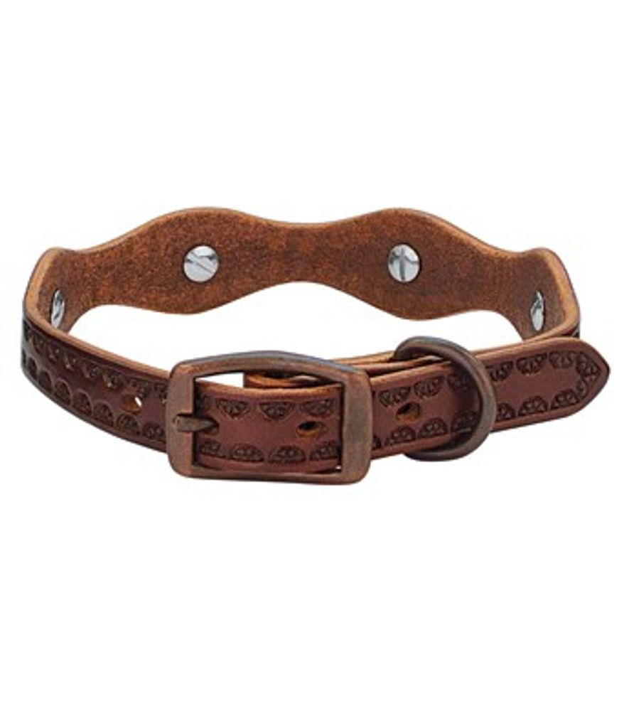 Weaver Leather, Sundance Dog Collar