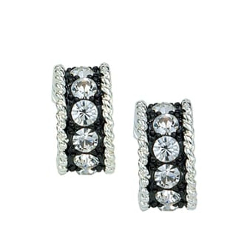 Montana Silversmiths Crystal Shine Small Hoop Earrings, ER1032