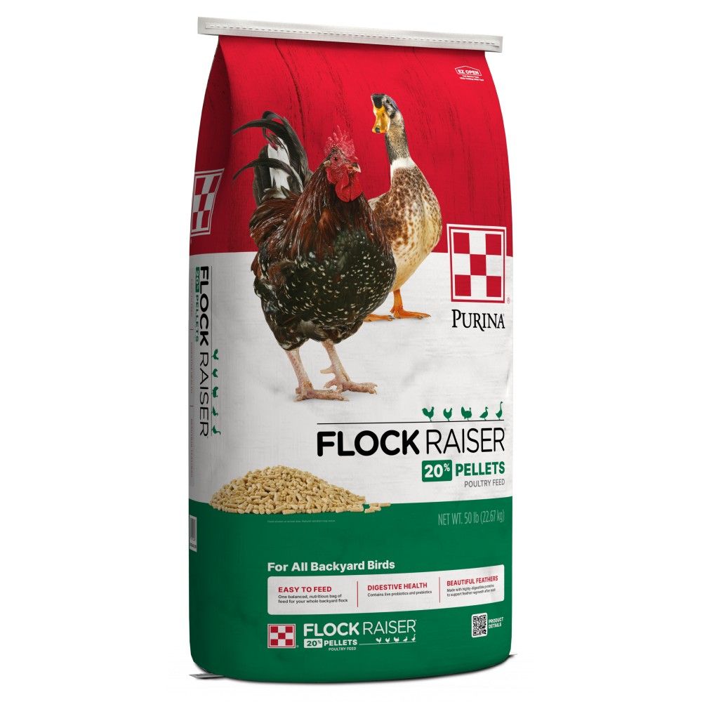 Purina, Flock Raiser Non-Medicated Pellets, 50 lb